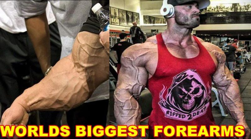 Biggest Forearms In Bodybuilding | Bodybuilders With Biggest Forearms | Bodybuilding Motivation