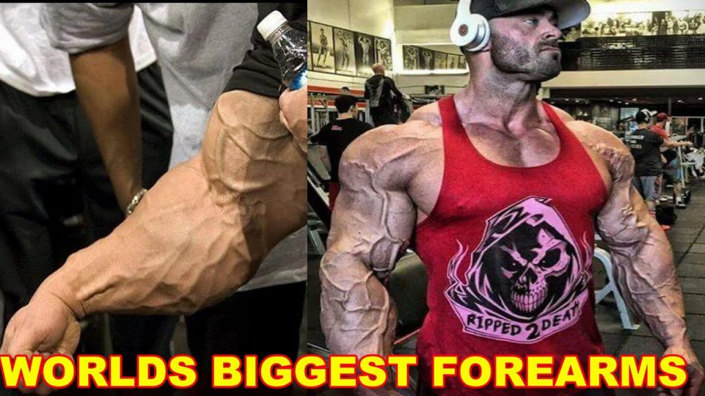 biggest-forearms-in-bodybuilding-bodybuilders-with-biggest-forearms