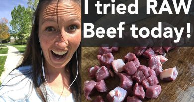 Carnivore Diet: I tried raw beef! Quick update