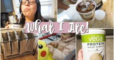 Day After Christmas & Feeling Gross! | What I Ate | Revive Superfood Smoothie | 12/26
