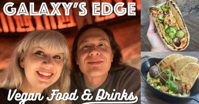 Galaxy's Edge Vegan Food and Drinks at Oga's Cantina: Stormtroopers Didn't Trust Us