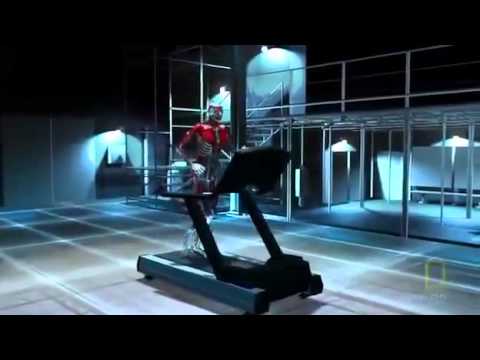 Science of steroids  National geographic