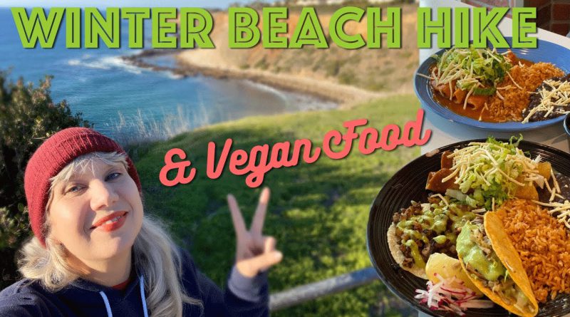 VLOG: Winter Beach Hike & New Vegan Spot in San Pedro