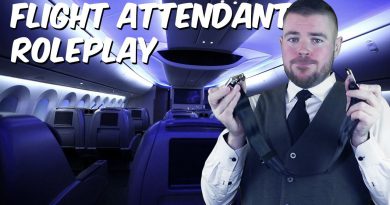 ASMR Male Flight Attendant Roleplay ✈️ Helps With Flying Anxiety
