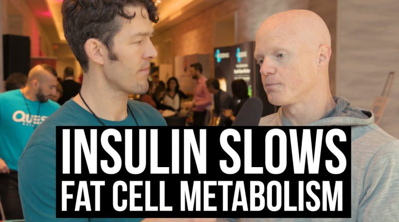 Insulin Slows Metabolic Rate of Fat Cells w/ Ben Bikman