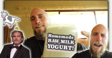 Making Raw Milk Yogurt | what we do with all the milk from our family cow