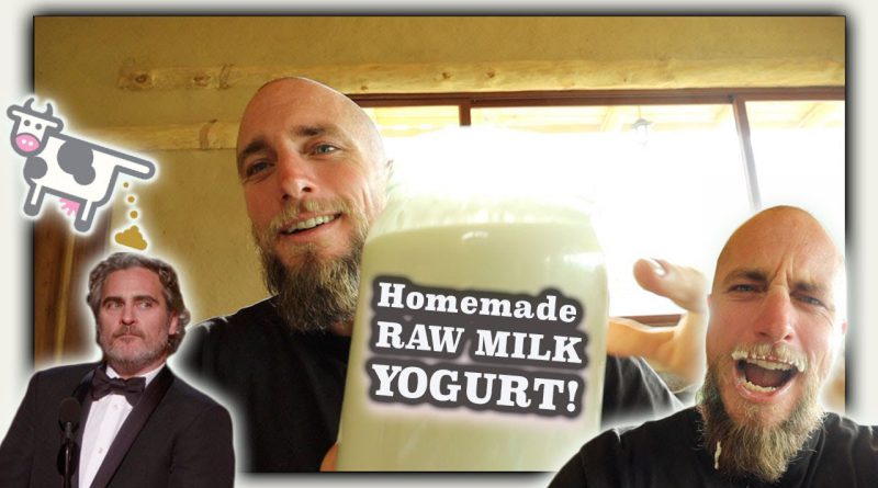 Making Raw Milk Yogurt | what we do with all the milk from our family cow