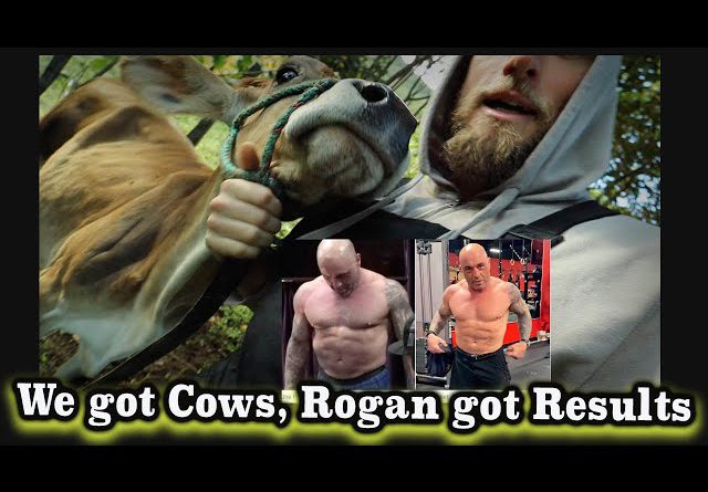 We got some Cows Joe Rogan got crazy CARNIVORE diet results