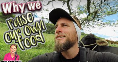 Why we raise ANIMALS FOR FOOD on our homestead | you can produce your own food, too
