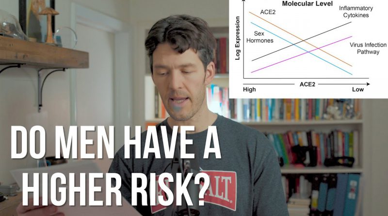 Coronavirus & ACE2: why Men, Diabetics Maybe at Higher Risk