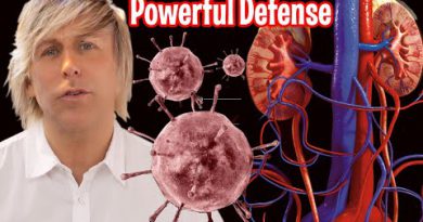 Fight Disease with a Clean Liver, Kidneys and Colon