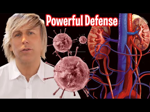 Fight Disease with a Clean Liver, Kidneys and Colon