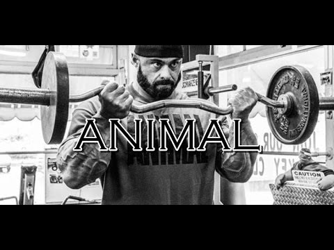 LIFE OF AN ANIMAL [HD] Bodybuilding Motivation