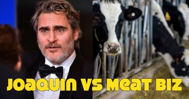Meat Biz Blames Joaquin Phoenix For All Their Problems! Anti Vegan Nonsense!