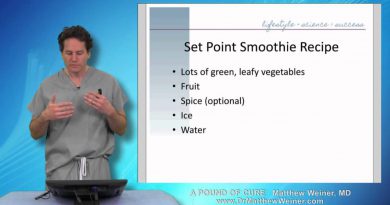 Set Point Smoothie - Tips for making a great tasting and more nutrient rich smoothie.