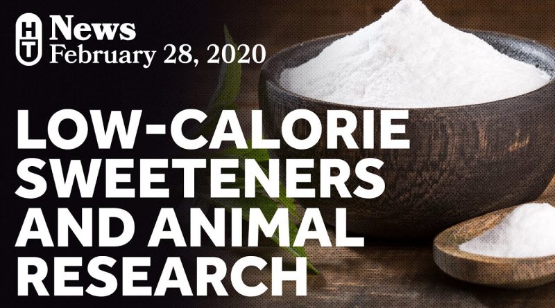 Weight Gain, Low-Calorie Sweeteners, and Responsible Translation of Research