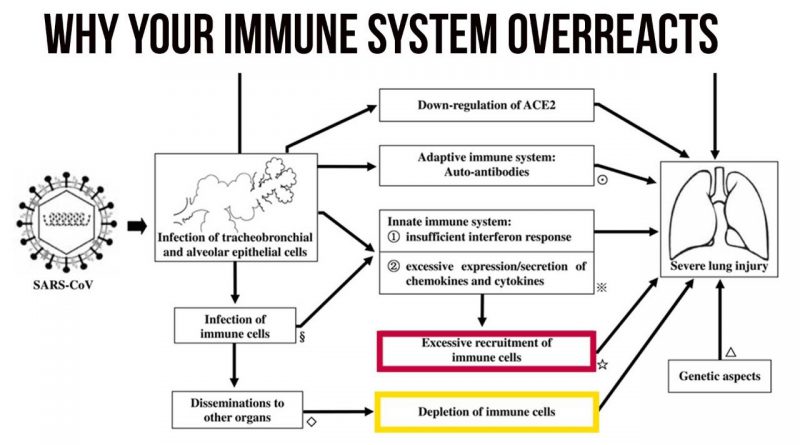 Young People Not Immune (strong immunity is part of COVID-19 problem)