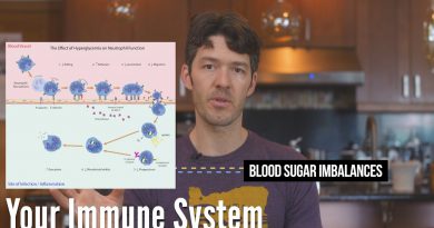 Your Diet Matters Now: blood sugar imbalances reduce immunity (science)