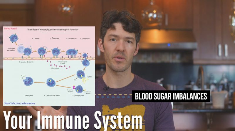 Your Diet Matters Now: blood sugar imbalances reduce immunity (science)