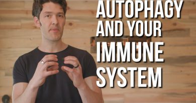 Autophagy, Immunity & virus clearance  (nerds only)