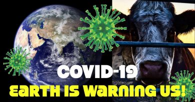 Covid-19 Is Nature Sending A Warning About Animal Agriculture: United Nations Chief