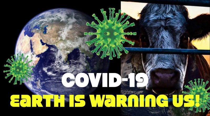 Covid-19 Is Nature Sending A Warning About Animal Agriculture: United Nations Chief