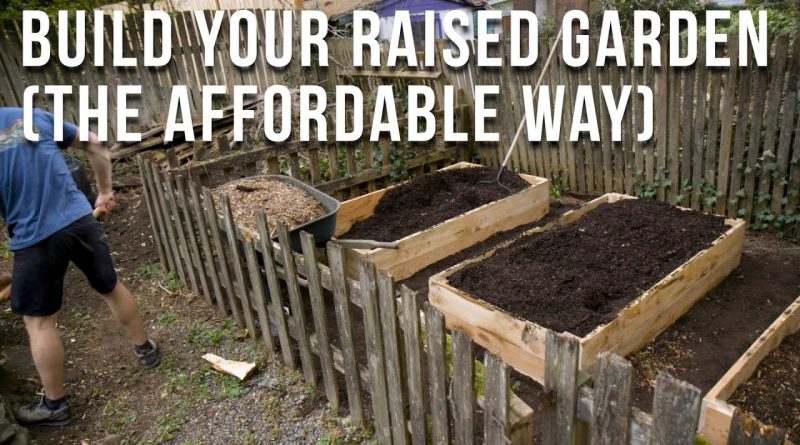 DIY Raised Garden Beds + Raspberries (my brother and I show you how to save $$)