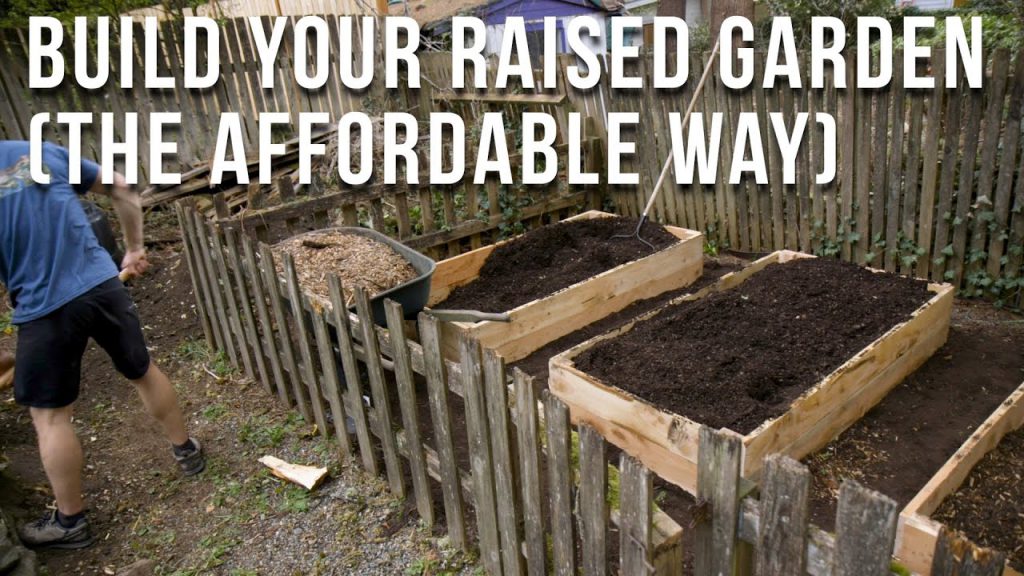 DIY Raised Garden Beds + Raspberries (my brother and I show you how to
