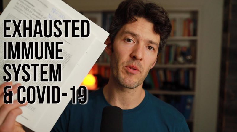 Exhausted Immune System in COVID-19 Subjects: science update