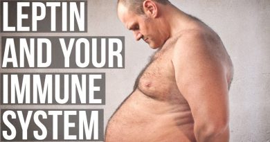 Leptin & Immunity: things you should know