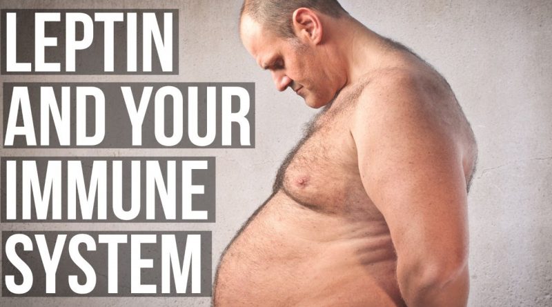 Leptin & Immunity: things you should know