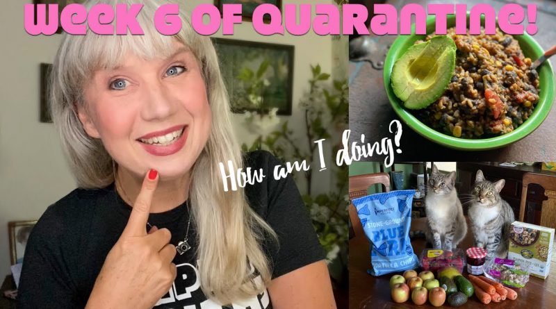 Week 6 of Quarantine! How I'm Doing with Food, Friends, Work etc