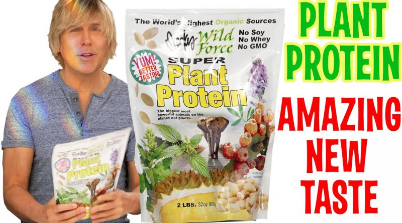 Better Tasting Plant Based Protein Formula