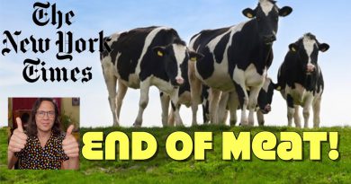 New York Times: The End Of Meat is Here! Yes, Now Is The Time To Go Vegan