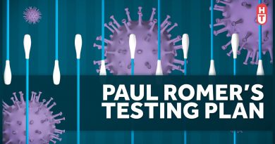 Paul Romer's Coronavirus Testing Plan