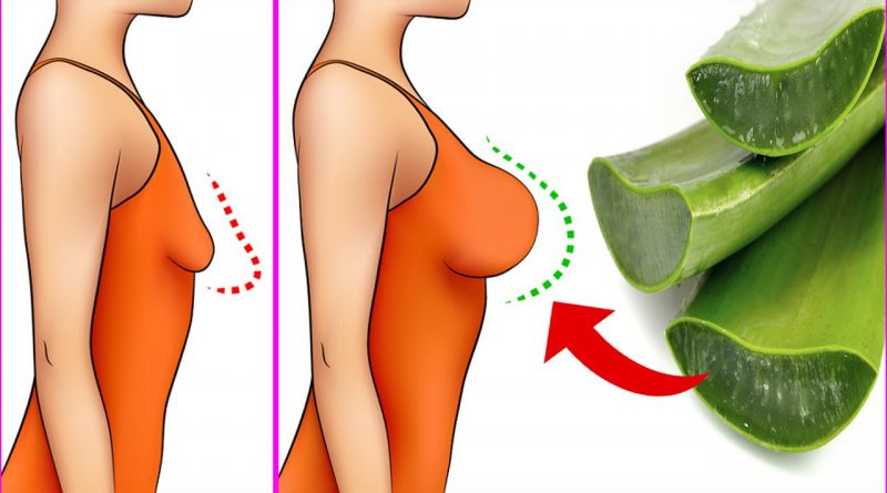 Beauty Benefits Of Aloe Vera Gel | 100% Effective Aloe Vera Remedy | Aloe Vera Skin Care