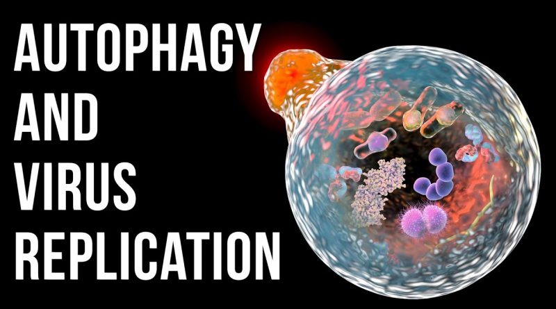 Autophagy as an Antiviral strategy