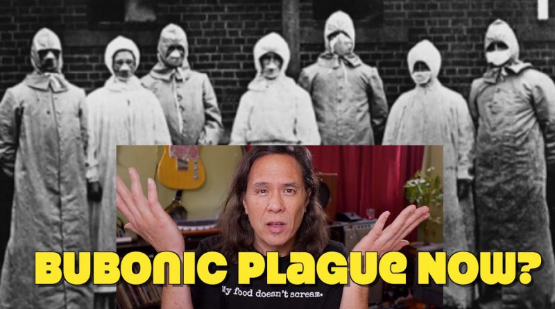 Bubonic Plague is Back? People, Please Stop Eating Meat! Please!