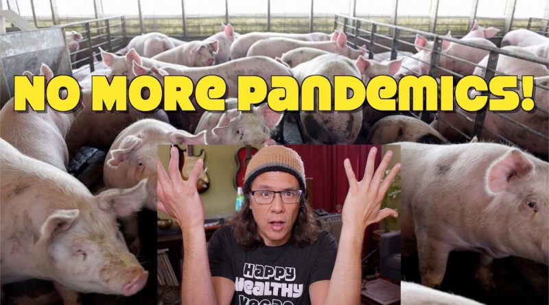 New Swine Flu Spreading To Humans: The Next Pandemic? Just Stop Eating Meat!