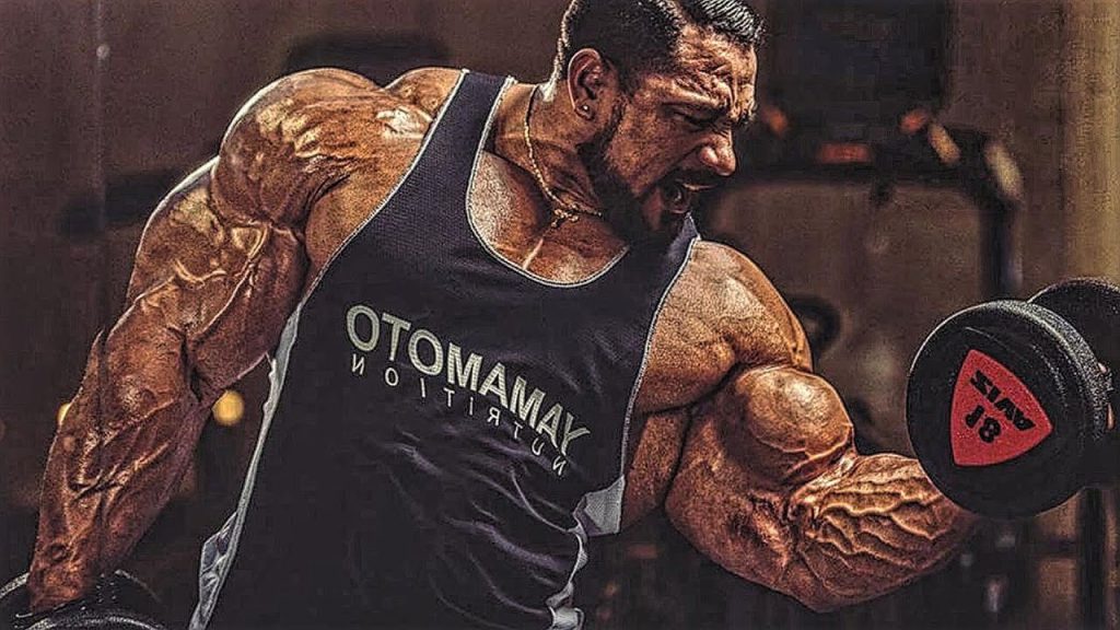 ROELLY WINKLAAR TRAIN LIKE A BEAST Massive 