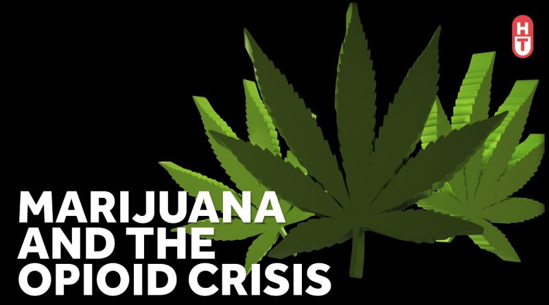 Can Marijuana Help with Opioid Addiction?