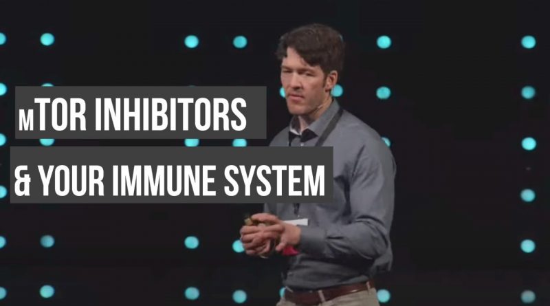 mTOR & Your Immune System, Viral Replication