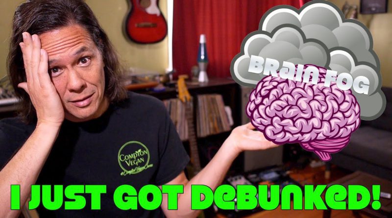 Anti Vegan Debunks My Brain Fog Video? Challenge Issued & Response!