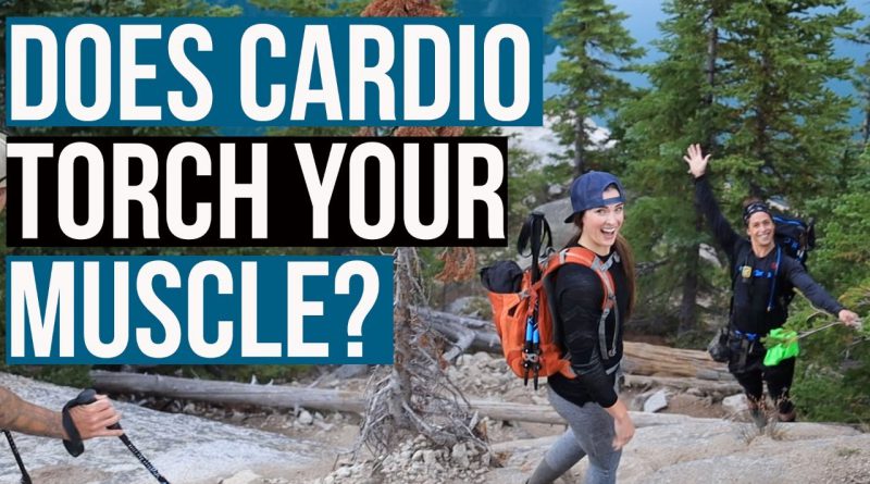 Cardio & Muscle Loss: Causes of Concern or Overhype?