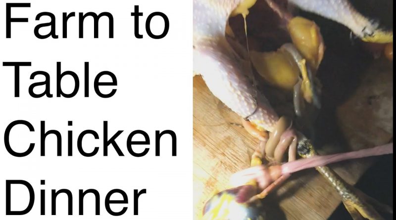 Chicken Eaters Won't Like This (graphic)