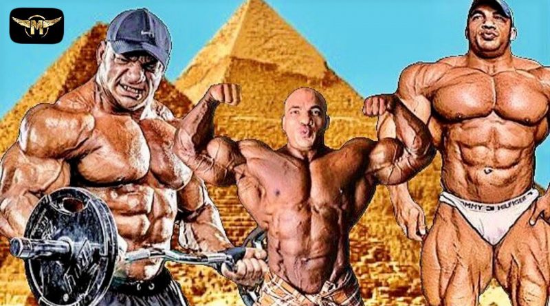 BODYBUILDING IS ABOUT MUSCLE - BIG RAMY - ROAD TO 2020 MR. OLYMPIA