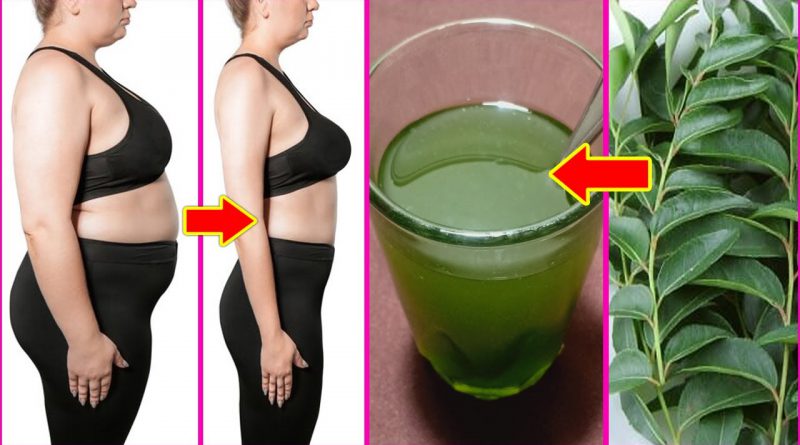 Curry Leaves Juice For Weight Loss Fastest, No Diet No Exercise Lose Belly Fat Quickly