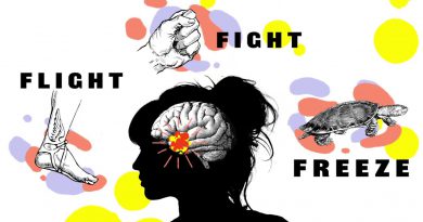 Fight Flight Freeze – Anxiety Explained For Teens