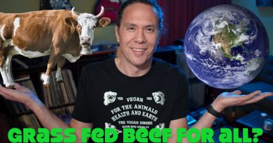 How Many Earths Are Needed To Sustain Us All On Grass Fed Beef?