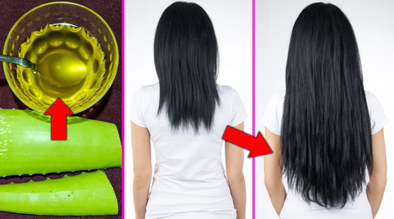 How To Make Aloe Vera Hair Oil For Hair Growth Fast, Stop Hair Loss And Regrow Lost Hair